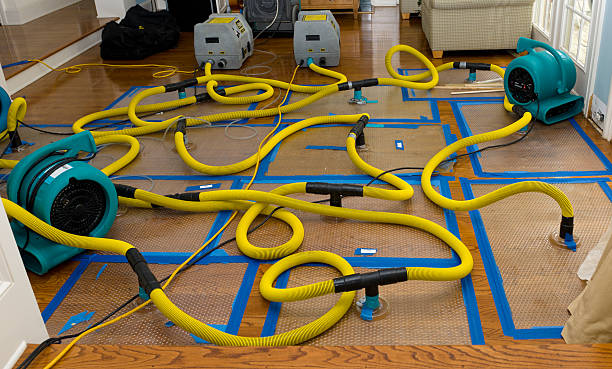 Professional Flood Damage Restoration technician working in Bath, IN